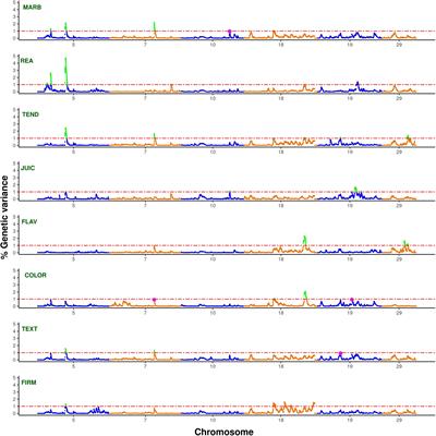 Genomic Approaches Reveal Pleiotropic Effects in Crossbred Beef Cattle